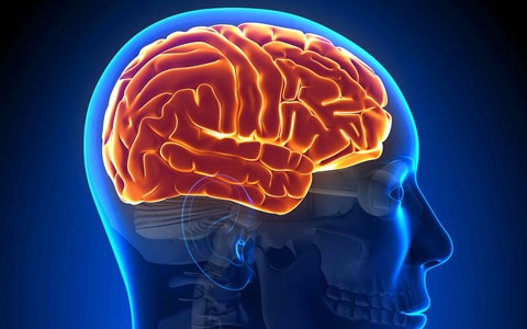 magnamed_mrt-golovnogo-mozga irm mrt chisinau-min